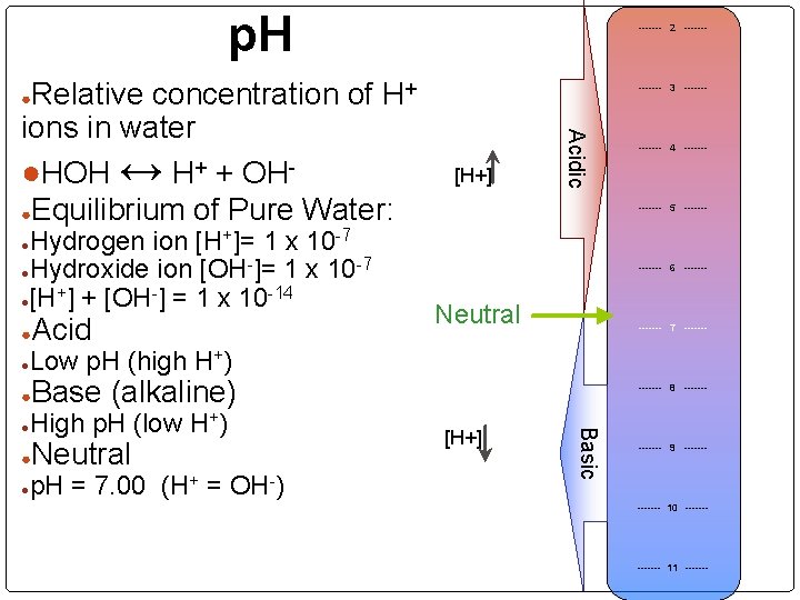 p. H Relative concentration of H+ ions in water ●HOH ↔ H+ + OH●Equilibrium