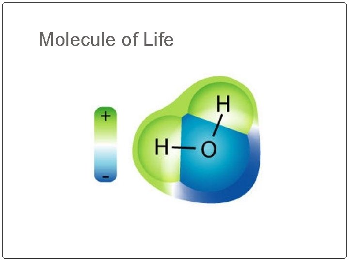Molecule of Life 