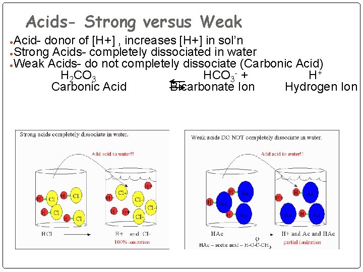 Acids- Strong versus Weak Acid- donor of [H+] , increases [H+] in sol’n ●Strong