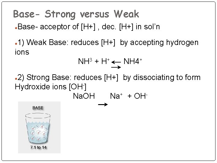 Base- Strong versus Weak ● Base- acceptor of [H+] , dec. [H+] in sol’n