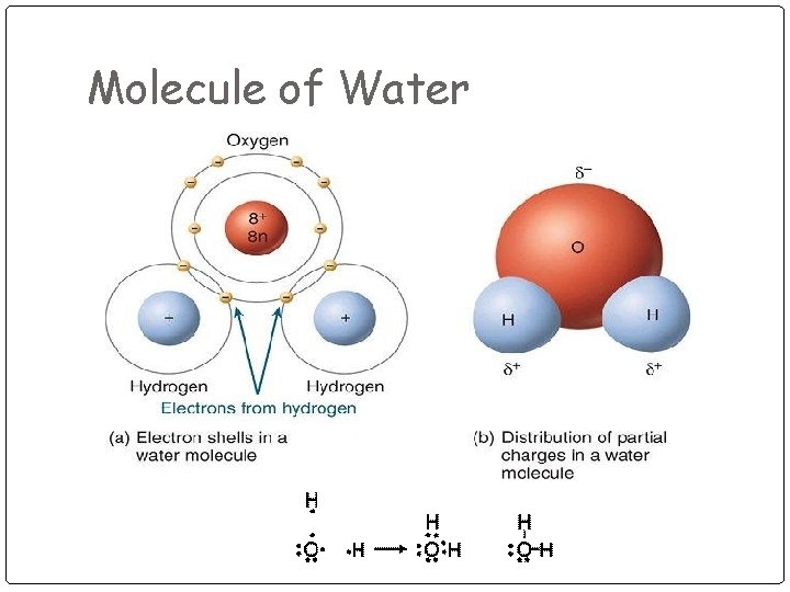 Molecule of Water 