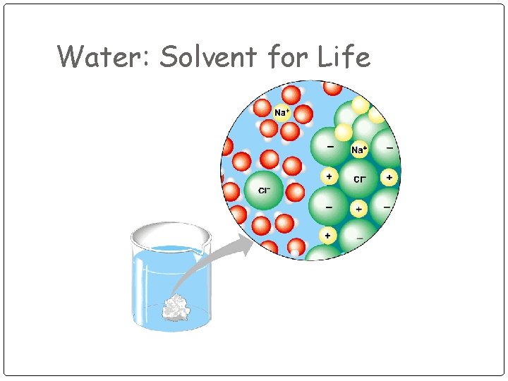 Water: Solvent for Life 