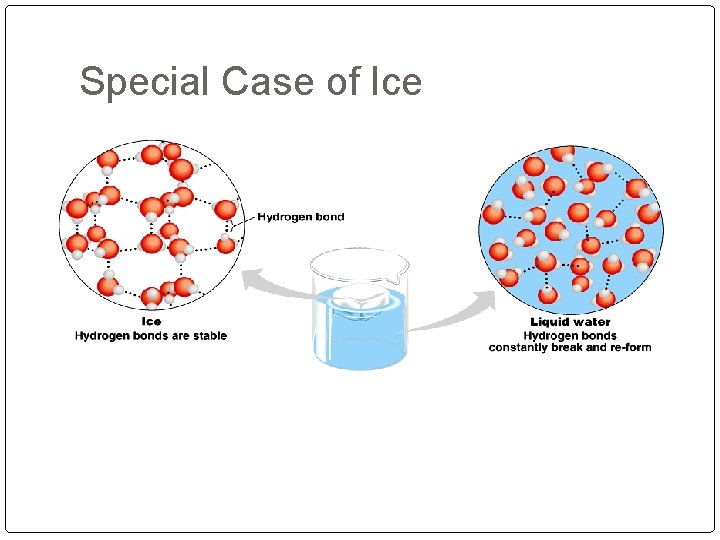 Special Case of Ice 