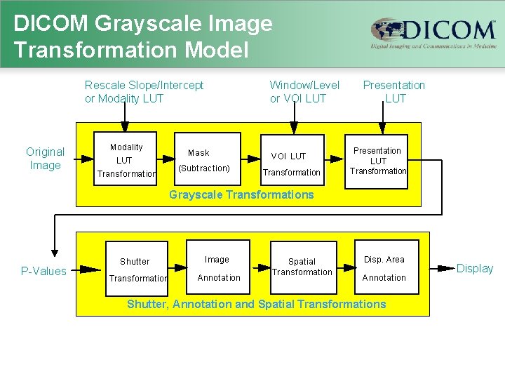 DICOM Grayscale Image Transformation Model Rescale Slope/Intercept or Modality LUT Original Image Modality LUT