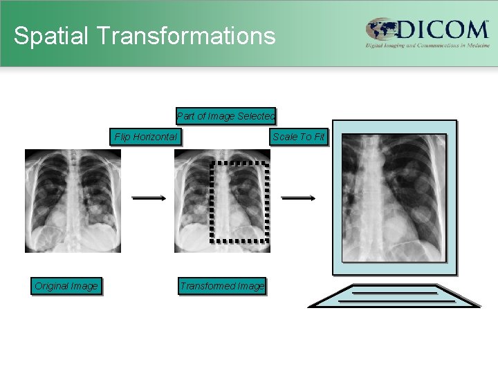 Spatial Transformations Part of Image Selected Flip Horizontal Original Image Scale To Fit Transformed