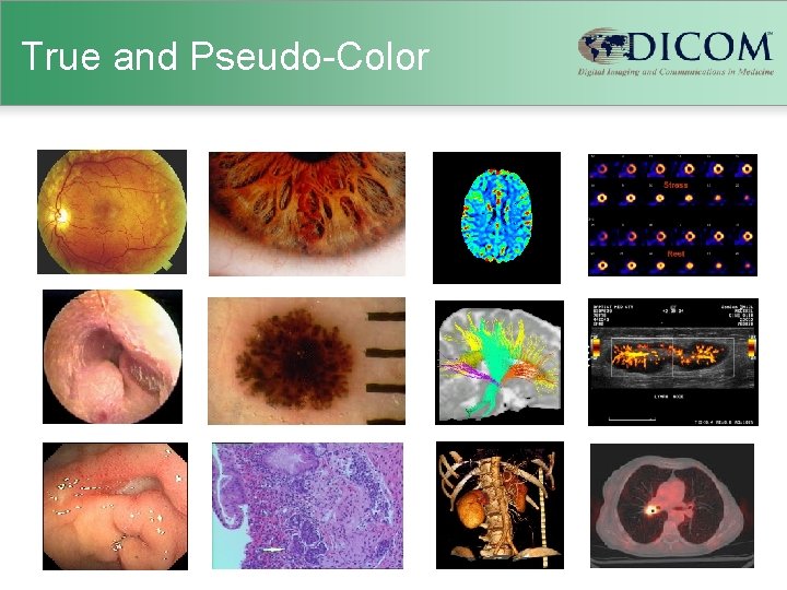 True and Pseudo-Color 