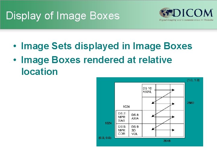 Display of Image Boxes • Image Sets displayed in Image Boxes • Image Boxes