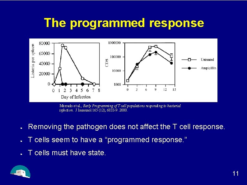 The programmed response Mercado et al. , Early Programming of T cell populations responding