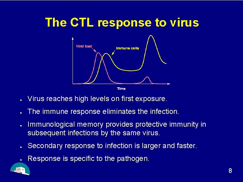 The CTL response to virus ● Virus reaches high levels on first exposure. ●