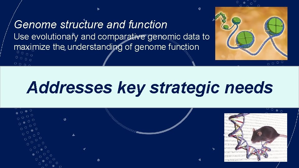 Genome structure and function Use evolutionary and comparative genomic data to maximize the understanding