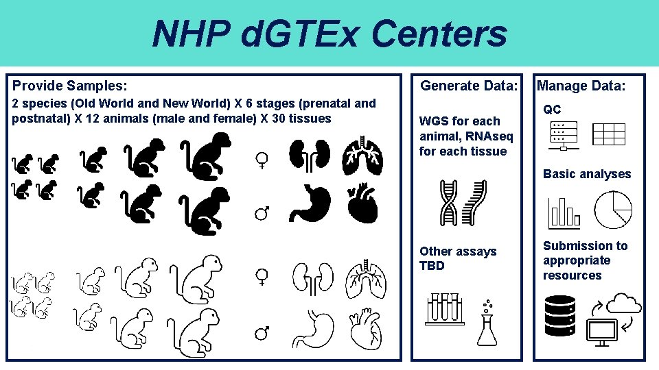 NHP d. GTEx Centers Provide Samples: 2 species (Old World and New World) X