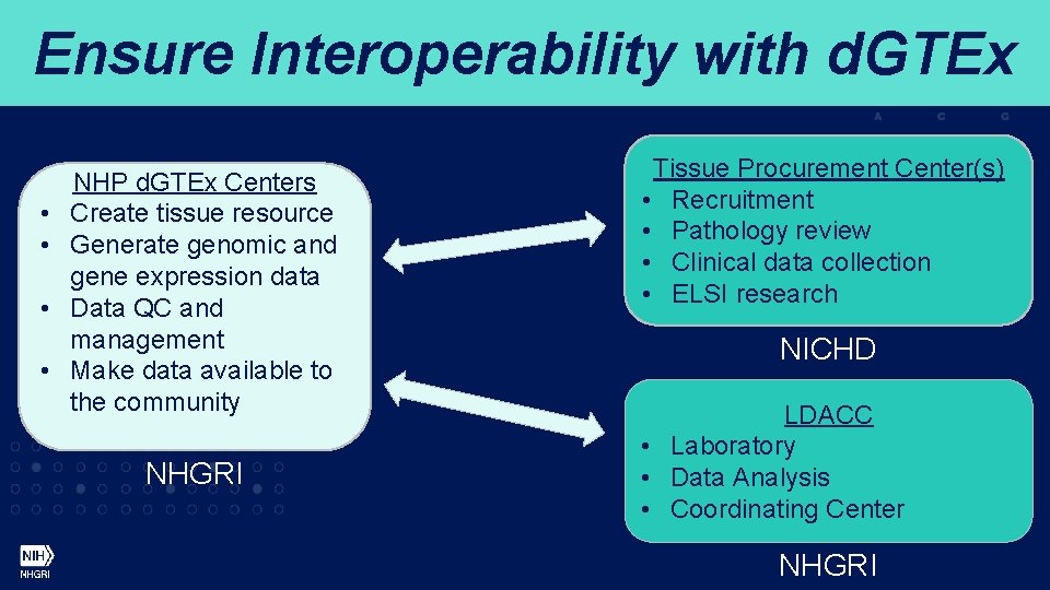 Ensure Interoperability with d. GTEx • • NHP d. GTEx Centers Create tissue resource