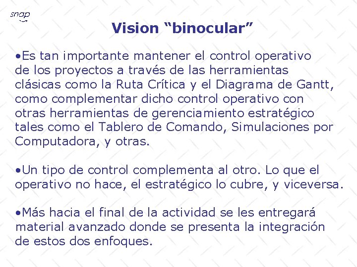 Vision “binocular” • Es tan importante mantener el control operativo de los proyectos a