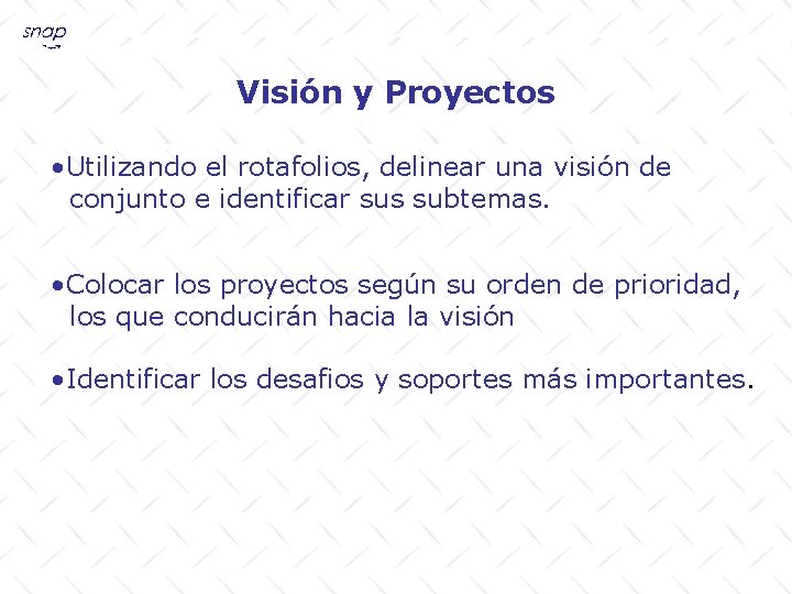 Visión y Proyectos • Utilizando el rotafolios, delinear una visión de conjunto e identificar