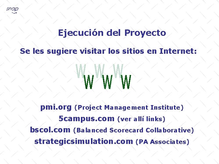 Ejecución del Proyecto Se les sugiere visitar los sitios en Internet: pmi. org (Project
