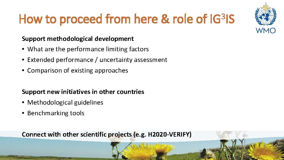 How to proceed from here & role of IG 3 IS Support methodological development