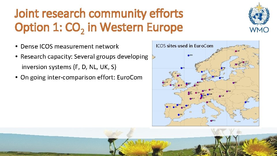 Joint research community efforts Option 1: CO 2 in Western Europe • Dense ICOS