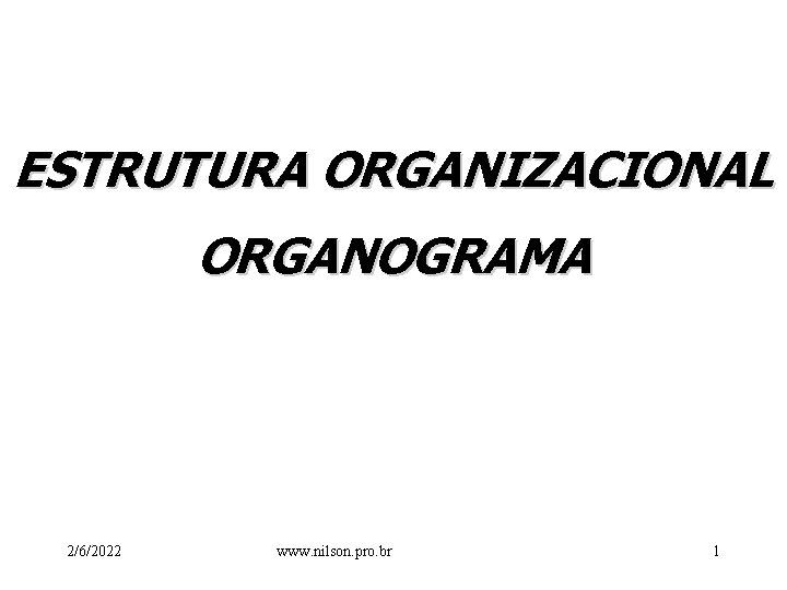 ESTRUTURA ORGANIZACIONAL ORGANOGRAMA 2/6/2022 www. nilson. pro. br 1 