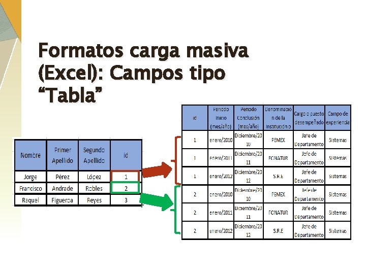 Formatos carga masiva (Excel): Campos tipo “Tabla” 