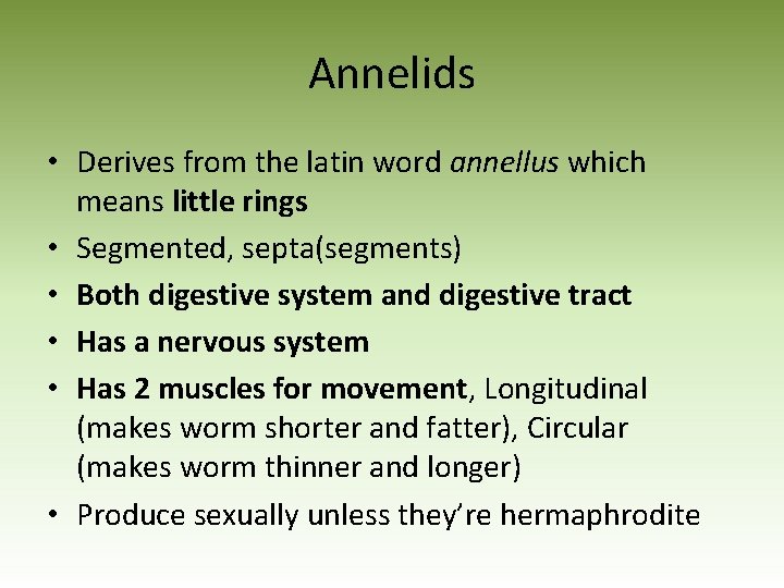 Annelids • Derives from the latin word annellus which means little rings • Segmented,