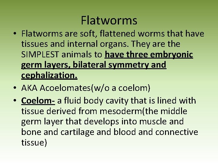 Flatworms • Flatworms are soft, flattened worms that have tissues and internal organs. They