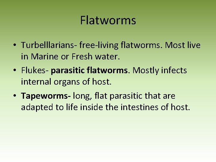 Flatworms • Turbelllarians- free-living flatworms. Most live in Marine or Fresh water. • Flukes-