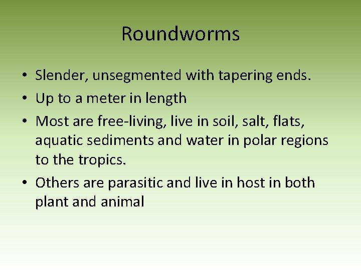 Roundworms • Slender, unsegmented with tapering ends. • Up to a meter in length