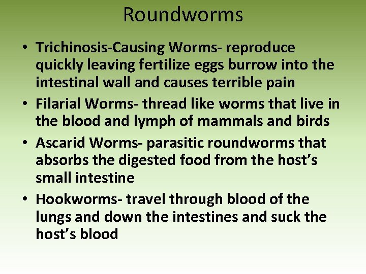 Roundworms • Trichinosis-Causing Worms- reproduce quickly leaving fertilize eggs burrow into the intestinal wall