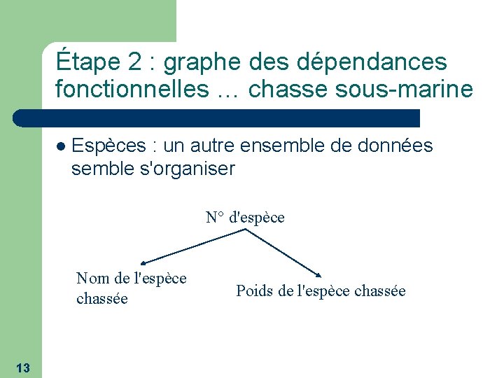 Étape 2 : graphe des dépendances fonctionnelles … chasse sous-marine l Espèces : un