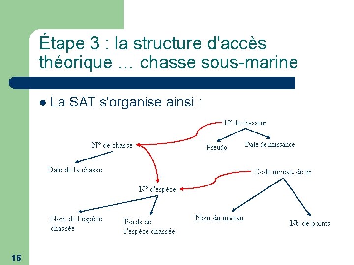 Étape 3 : la structure d'accès théorique … chasse sous-marine l La SAT s'organise