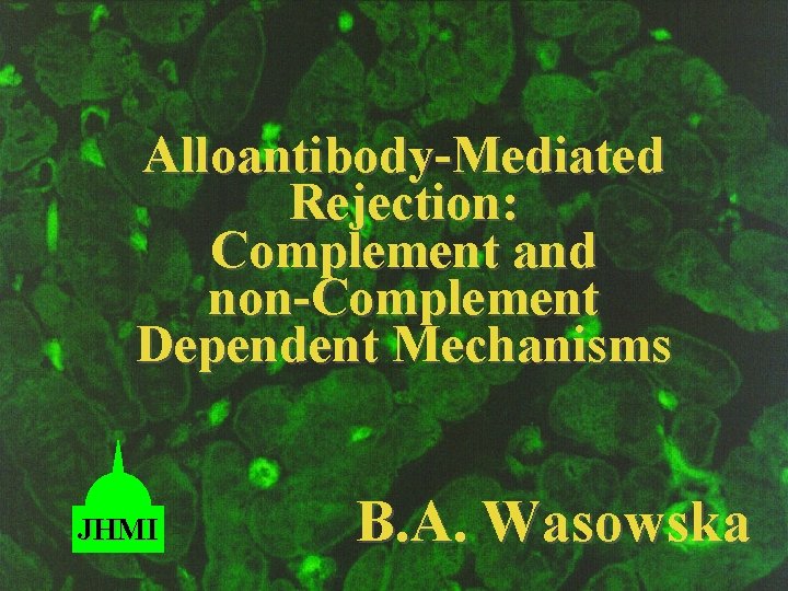 Alloantibody-Mediated Rejection: Complement and non-Complement Dependent Mechanisms JHMI B. A. Wasowska 