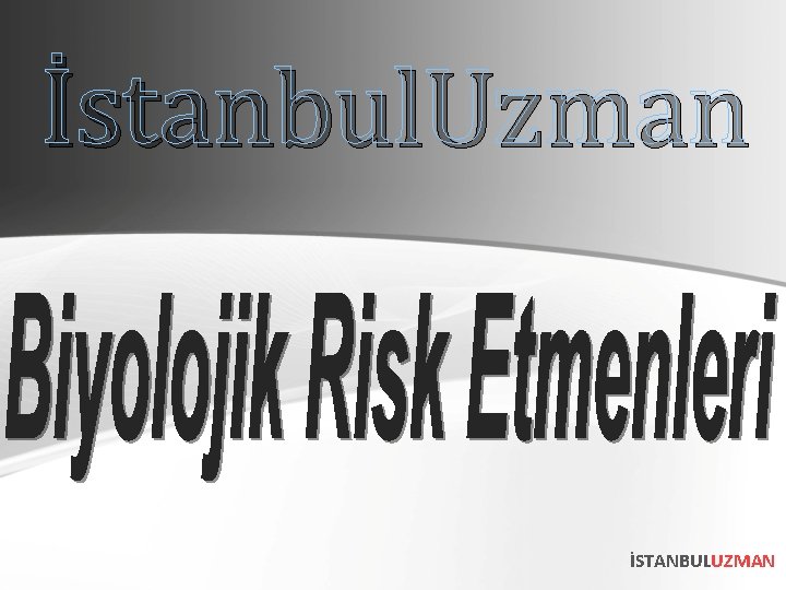 İstanbul. Uzman İSTANBULUZMAN 