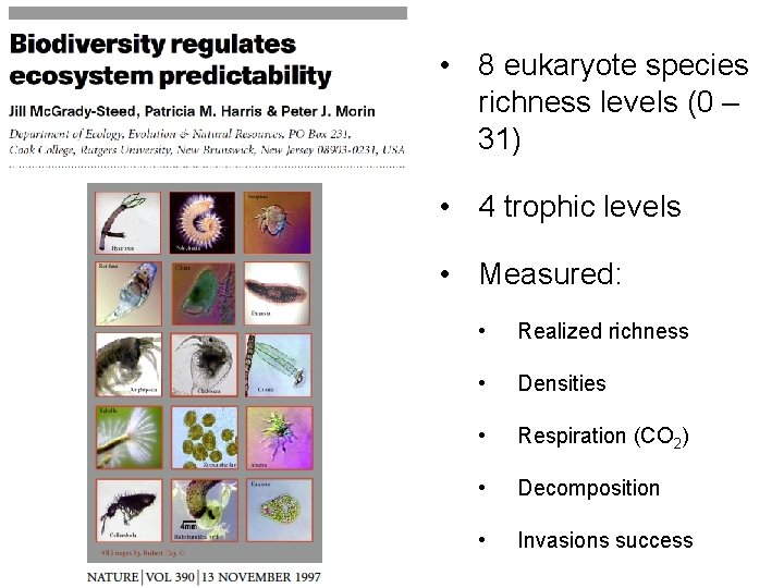  • 8 eukaryote species richness levels (0 – 31) • 4 trophic levels