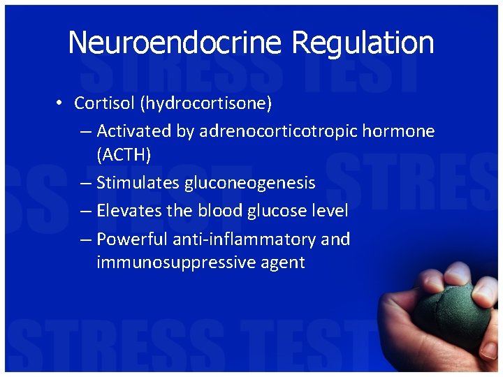 Neuroendocrine Regulation • Cortisol (hydrocortisone) – Activated by adrenocorticotropic hormone (ACTH) – Stimulates gluconeogenesis