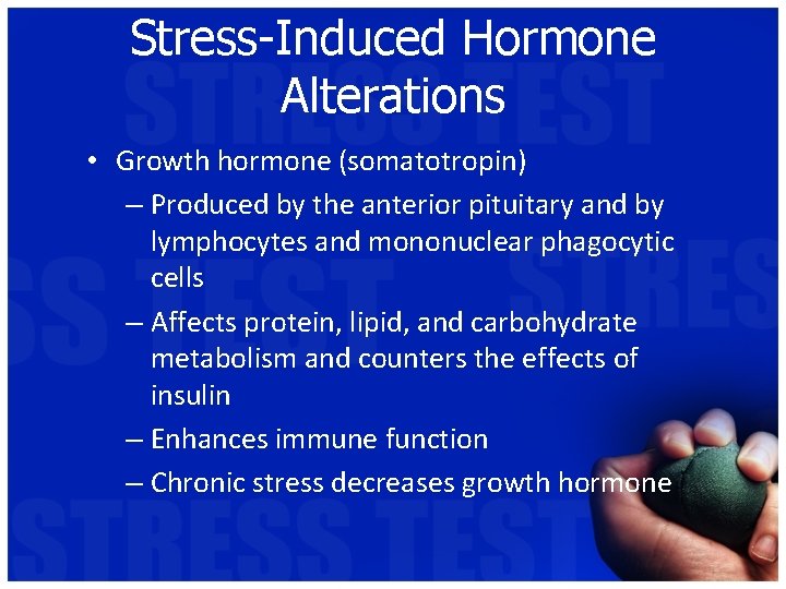 Stress-Induced Hormone Alterations • Growth hormone (somatotropin) – Produced by the anterior pituitary and