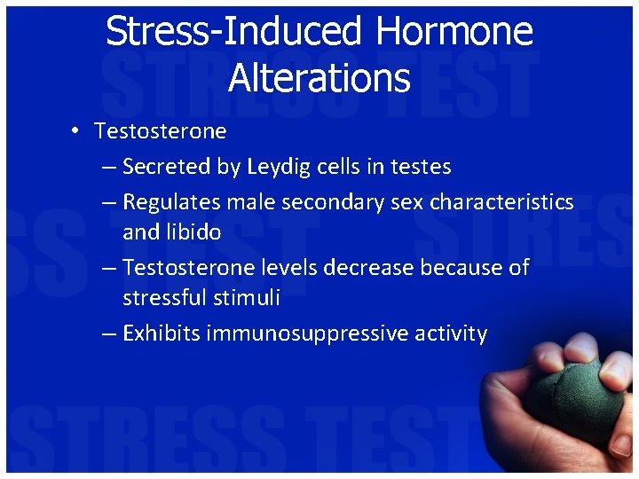 Stress-Induced Hormone Alterations • Testosterone – Secreted by Leydig cells in testes – Regulates