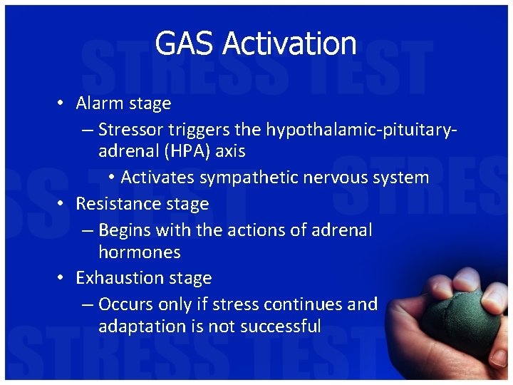 GAS Activation • Alarm stage – Stressor triggers the hypothalamic-pituitaryadrenal (HPA) axis • Activates