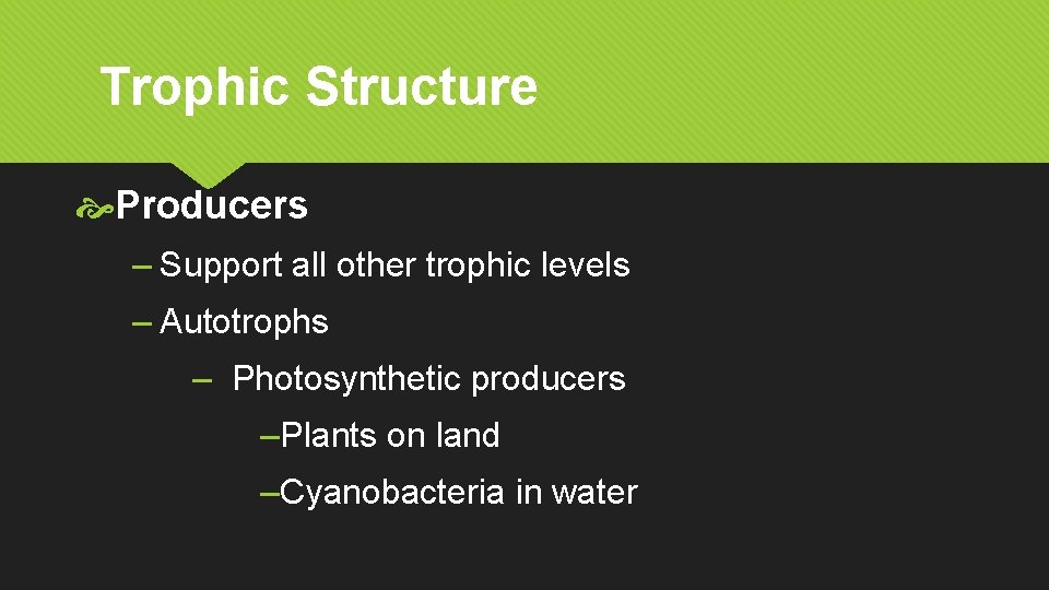 Trophic Structure Producers – Support all other trophic levels – Autotrophs – Photosynthetic producers