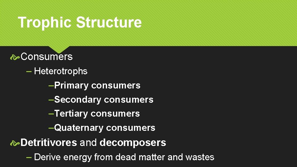 Trophic Structure Consumers – Heterotrophs – Primary consumers – Secondary consumers – Tertiary consumers
