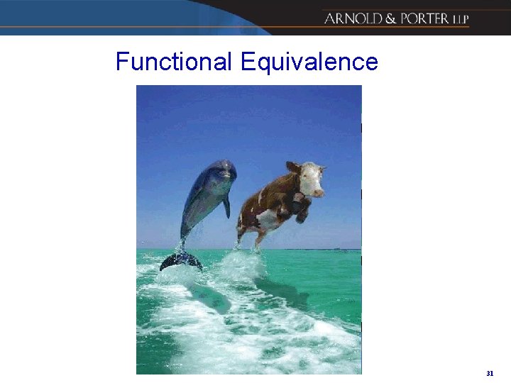 Functional Equivalence 31 