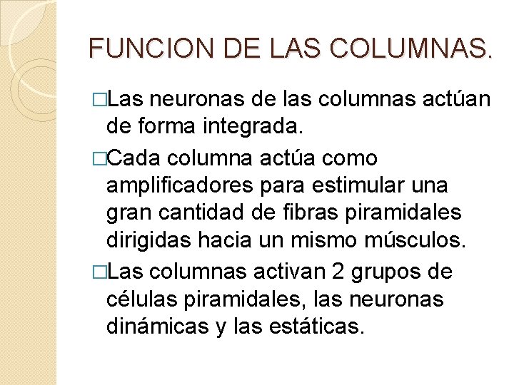 FUNCION DE LAS COLUMNAS. �Las neuronas de las columnas actúan de forma integrada. �Cada
