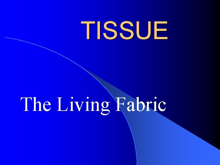 TISSUE The Living Fabric 