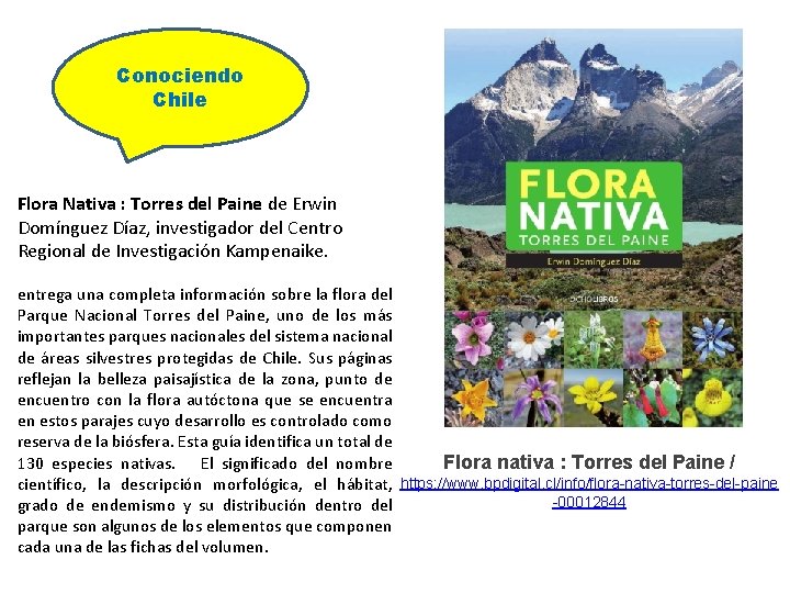 Conociendo Chile Flora Nativa : Torres del Paine de Erwin Domínguez Díaz, investigador del
