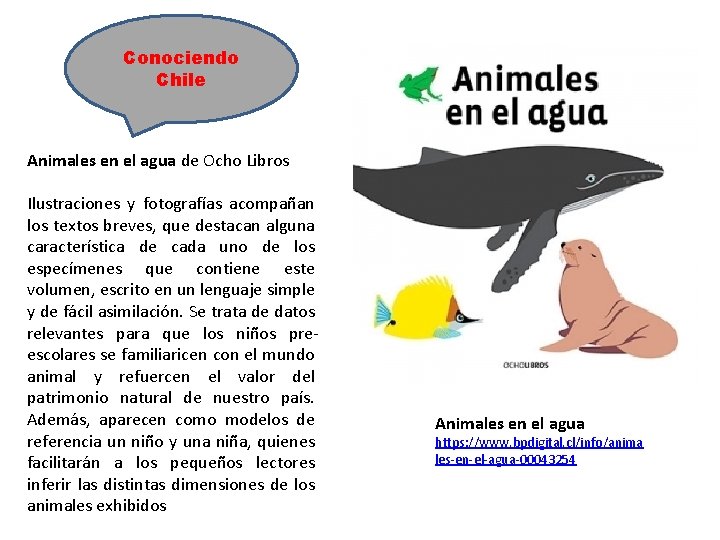 Conociendo Chile Animales en el agua de Ocho Libros Ilustraciones y fotografías acompañan los