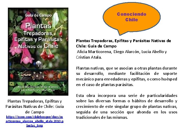 Conociendo Chile Plantas Trepadoras, Epífitas y Parásitas Nativas de Chile: Guía de Campo Alicia