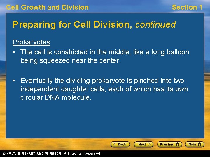 Cell Growth and Division Section 1 Preparing for Cell Division, continued Prokaryotes • The