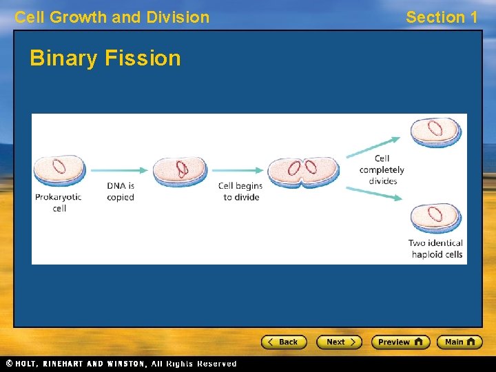 Cell Growth and Division Binary Fission Section 1 
