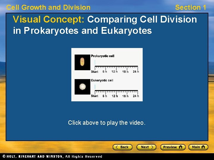 Cell Growth and Division Section 1 Visual Concept: Comparing Cell Division in Prokaryotes and