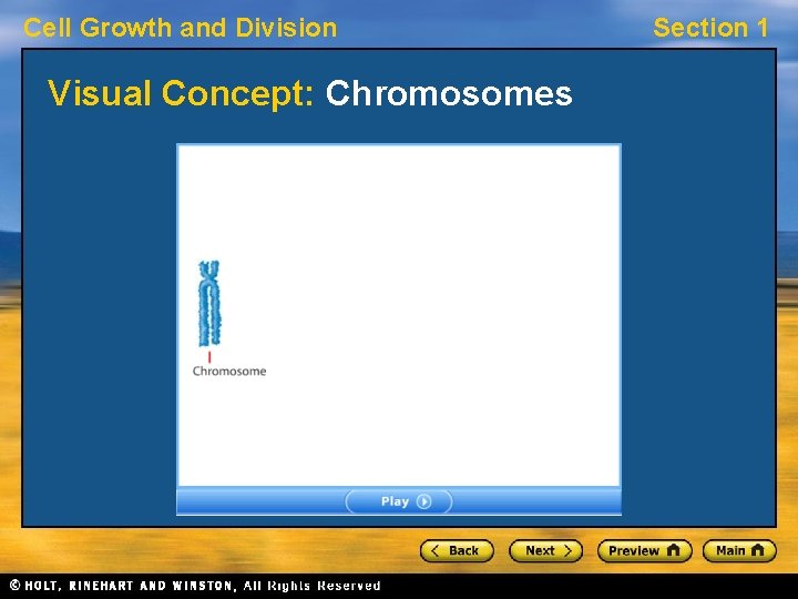 Cell Growth and Division Visual Concept: Chromosomes Section 1 