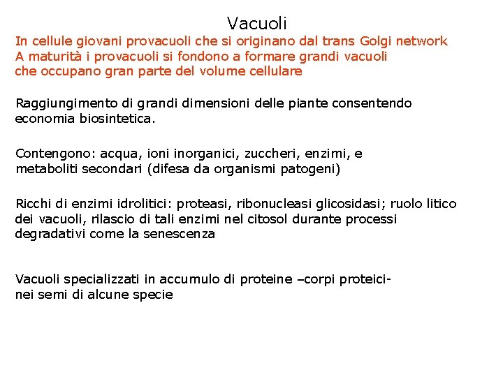 Vacuoli In cellule giovani provacuoli che si originano dal trans Golgi network A maturità